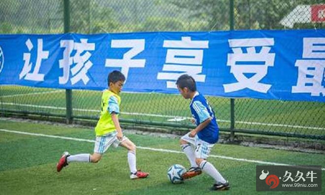 上海建大仿真足球等被召回