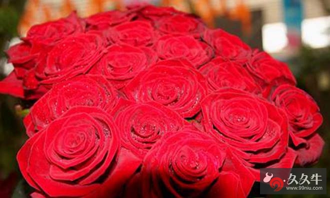 情人节催生天价玫瑰