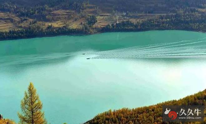 新疆喀纳斯湖惊现巨型食肉水怪