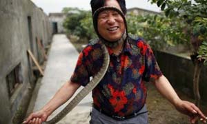 探秘中国第一蛇村 全村都是毒蛇隔壁村庄不敢靠近