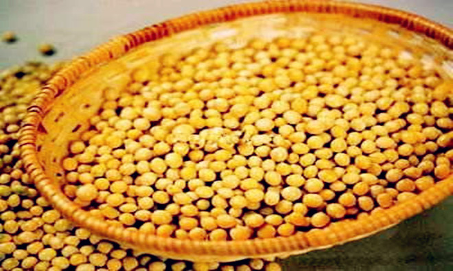 豆粕期货期权在大连商品交易所正式上线交易